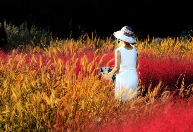 祝老师节日快乐的句子有哪些 适合教师节写的句子