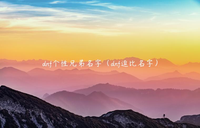 dnf个性兄弟名字（dnf逗比名字）