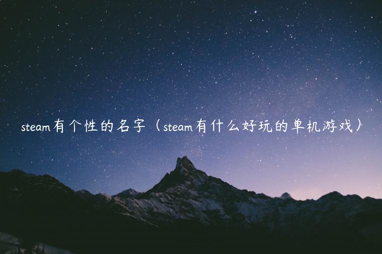 steam有个性的名字（steam有什么好玩的单机游戏）