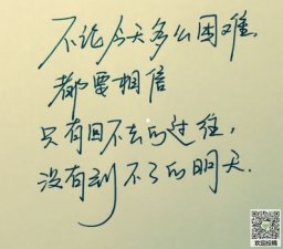 ​关于蜘蛛网的励志句子 关于蜘蛛的励志短语