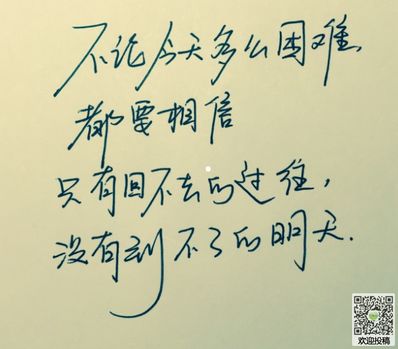 关于蜘蛛网的励志句子 关于蜘蛛的励志短语