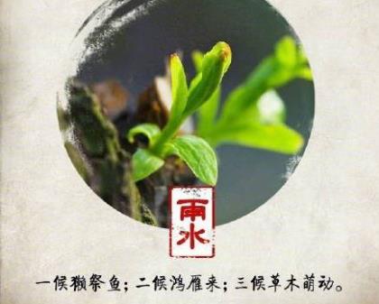 形容爱情受伤的句子