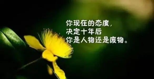 经典励志句子句句穿心