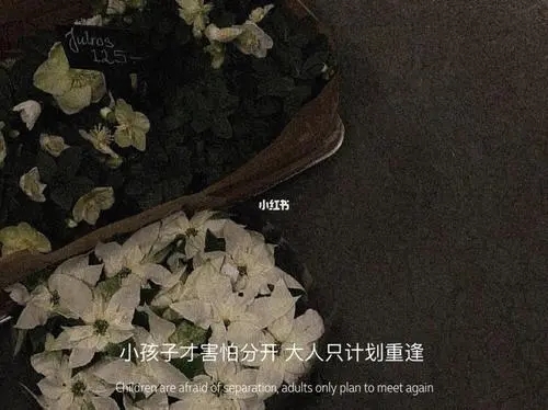 网易云伤感语录孤独