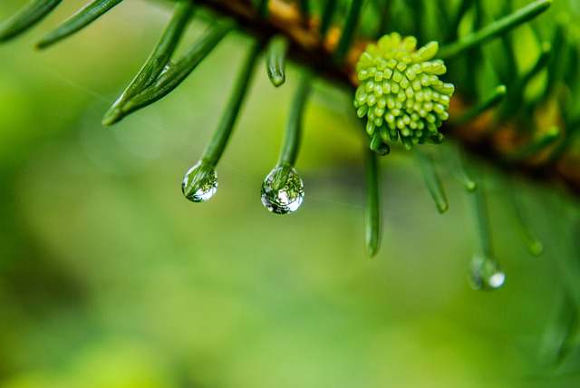 抖音拍视频的雨天心情说说（精选80句）