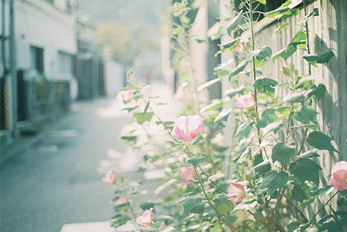 五一劳动节结婚祝福语(五一劳动节结婚的祝贺词)